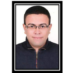 Sayed Mohsen mohamed Afifi, محاسب