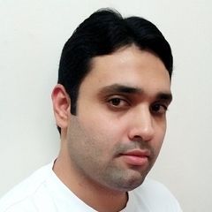 Muhammad Asif Siddiqui, Systems Analyst