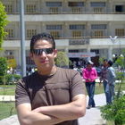 bakr Mostafa