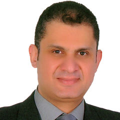Ashraf Hamdy Sello, IT Consultant