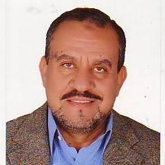 ehab yahya farahat hasanin, مدير عام مشاريع