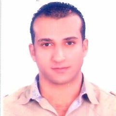 Islam Abou El Hadid, Software Developer
