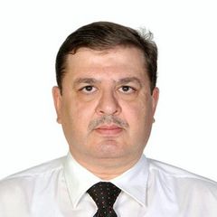 Mustafa Abdel-Azim Hussein, Business Analysts Supervisor