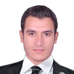 عبدالله جمال مختار مخيمر, محاسب ومراجع