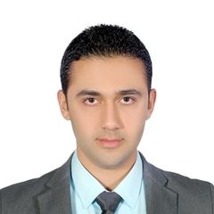 hatem mohamed mahmoud elkassas, Senior Service Specialist