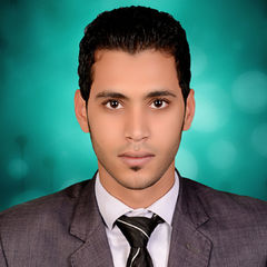 محمد سعيد عبد السميع احمد