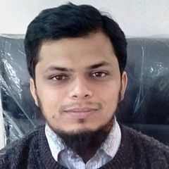 Mohammad Holy, Article Assistant