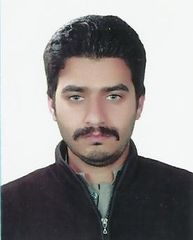 mazhar hussain syed, Computer Assistant