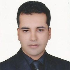 Alaa Ahmed El Sayed Khalifa
