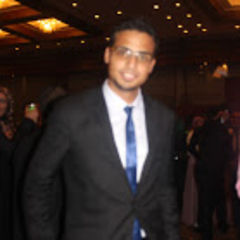 Yasser Mahmod Fathy  Elhennawy, Accountant