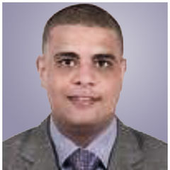كريم احمد ابراهيم عامر, مدير حسابات