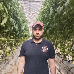 محمد Tayeeb, agriculture engineer