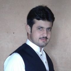 Hassan Raza