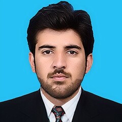 Ihsan Rahim, Data analyst