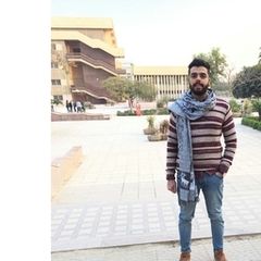 محمد محمود محمد