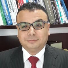 Tamer Ali Abo Azam Mohamed, Accounting Manager