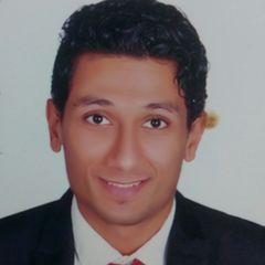 Mahmoud Tarek, Engineer