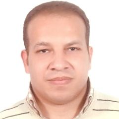 Mohamed Tarabay, document controller