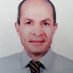 Magdy Radwan, Project Management Supervisor