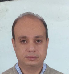 Ashraf Saad, Import Manager