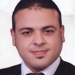 Mahmoud Elsaieed Abd Elrazeq Hansan Elbadawy, technical support