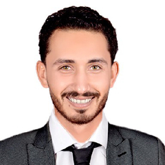 Ahmed Moustafa Elmahdi 