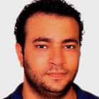 Hossam Abdel Monem Hosny, Technical Project Manager