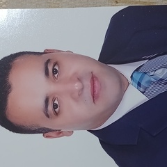 Walid Mohamed Mohamed