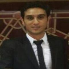 أحمد حسني, Accountant