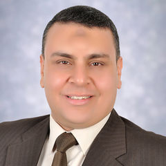 كريم صبري, Finance Director (acting as a CFO)