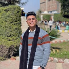 Omar Mohamed