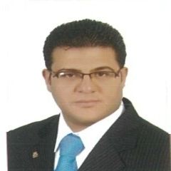 Mohamed Hassan Abdul Moneim CMA, Financial Controlling Manager