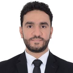  علي  يحيا علي عبد الجواد, Project Controller