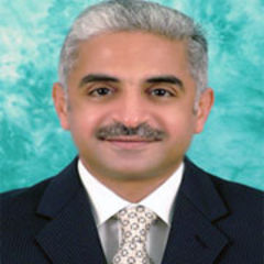 Sherif Mohamed, IT Administrator - part time