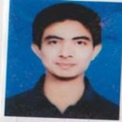 Danish Subzwari