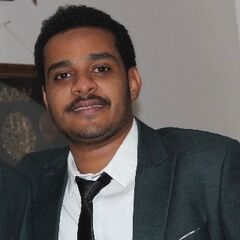 Alaeldin Awad Mohamed Suhail, Microsoft Dynamics 365 Consultant