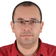 Ali Eltalawy, Technical Project Lead