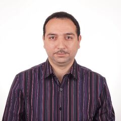 وليد إسماعيل, Project Manager