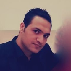 Ali Amhaz, web developer
