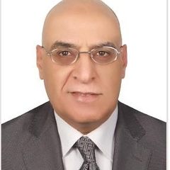 حسن عبدالمقصود عبدالحليم الهواري, Finance Manager