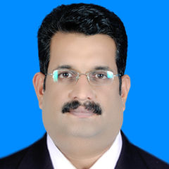 Sethu Madhavan, Credit Controller