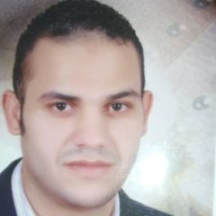 Ahmed Ashour, Senior Accountant / Account Manager