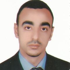 وسيم محمد مجدي مجدى, Chief Accountant