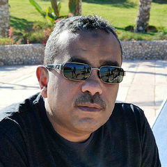 Waleed Ahmed Basuiony EL-Sherief