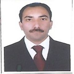 Irfan Ali Habib, 
