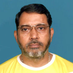 Viswanathan P S, Director