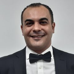بهاء الدين الذبيان, Independent ERP/CRM Consultant and Project Manager