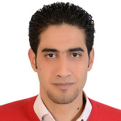 Ahmed Abdelgawad Ahmed Elgebaly