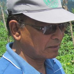Binayak Rajbhandari, Executive Chief