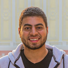 Ahmed Wagih Ammar, Technical Solutions Engineer